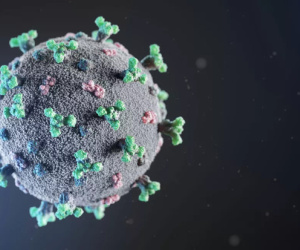 Ấn Độ phát hiện biến chủng 'đột biến kép' của virus corona