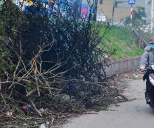 Ảnh: Tiểu thương 'bỏ của chạy lấy người', hoa lê héo chất đầy triền đê Âu Cơ