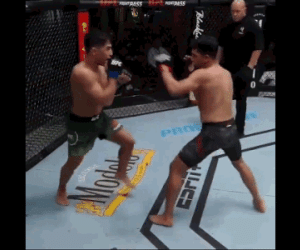 Tân binh UFC tung cú thôi sơn, đối thủ ngã sấp mặt đau đớn
