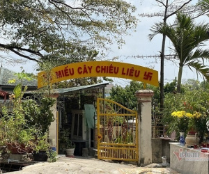 Xác minh nguồn thực phẩm chay khiến 1 người tử vong, 5 người cấp cứu