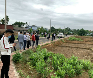 Hà Nội: Giá đất lại 'nóng' lên từng ngày nhờ 'ăn theo' quy hoạch, người dân mở rộng vùng đầu tư