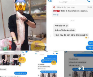 Khoe câu được cá 6kg mang về, nhưng vừa nhận được ảnh bộ cần câu vợ gửi, anh chồng tái mét mặt chạy về nhận tội