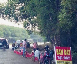 Bộ Tài nguyên Môi trường yêu cầu các thành phố báo cáo tình trạng 'sốt đất ảo' trước 31/5
