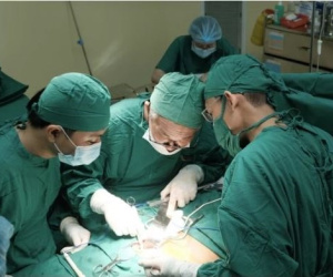 Sửa điện, người đàn ông rơi từ cột điện cao 5 mét xuống đất nguy kịch