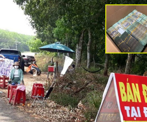 Mua đất như mua rau, đại gia vác thùng carton đựng hàng chục bó tiền đi buôn đất