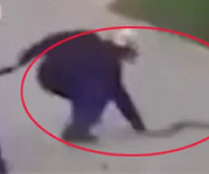 Clip: Người đàn ông bất ngờ nhảy xuống xe máy, tay không bắt rắn khiến tất cả rùng mình