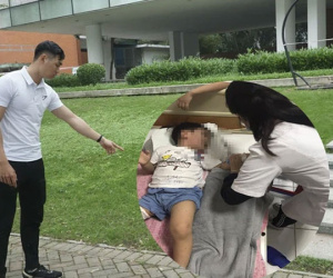 Đang đi dạo cùng bố mẹ trong công viên, bé trai 3 tuổi bị chó thả rông cắn rách đùi
