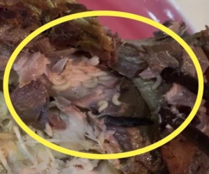 Vụ dòi bò lúc nhúc trong khúc cá kho: Gửi lời xin lỗi tới người mua, tạm dừng 10 điểm bán hàng trên toàn hệ thống