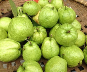 Càng ăn nhiều ổi cân nặng của bạn càng giảm nếu biết ăn đúng cách