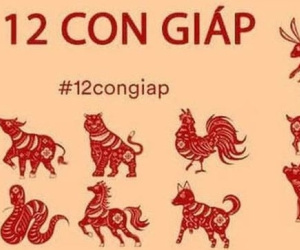 Sau tiết Thanh Minh, 5 con giáp này sẽ dồn dập đón tin vui, dự định kế hoạch đều dễ trở thành hiện thực