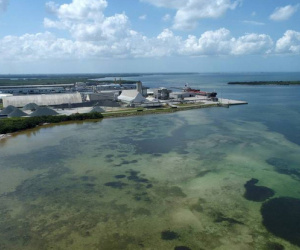 Florida (Mỹ) tuyên bố tình trạng khẩn cấp vì nguy cơ vỡ hồ nước độc hại