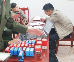 Mua bán trái phép hóa đơn giá trị gần 300 tỷ đồng