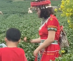 Cộng đồng mạng truy tìm danh tính người phụ nữ vô ý thức thẳng tay vặt sạch ngọn chè trên đồi chè mang về