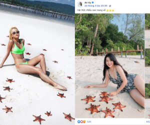 Loạt sao biển chết ở Phú Quốc và loạt hành động sống ảo 'tội lỗi' của du khách, có cả những gương mặt hot nhất MXH