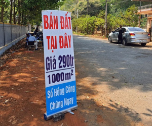 Nhiều nhà đầu tư F0 'chết' vì sốt đất
