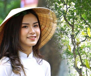 Video: Hà Nội mùa sấu già trút lá, phố 'dệt thảm vàng' níu những nàng thơ