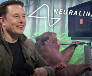 Tận mắt chứng kiến con khỉ của Elon Musk chơi game như người