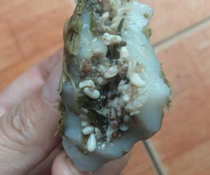 Bánh trứng kiến, đặc sản Cao Bằng hút khách Hà thành