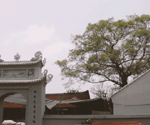 Video: Ngỡ ngàng di tích quốc gia Chùa Đậu được ‘cấy' thêm nhiều công trình hoành tráng