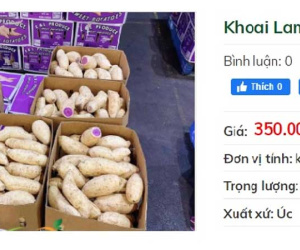 Khuyến mãi sâu, khoai lang tím Úc vẫn có giá 100.000 đồng/kg