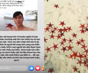Blogger 9x gây tranh cãi khi lên tiếng bảo vệ những người chụp ảnh khiến sao biển chết hàng loạt ở Phú Quốc: 'Chưa luật nào cấm điều này'