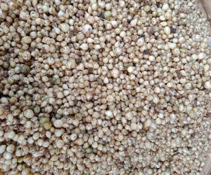 Đặc sản xứ Nghệ rẻ chưa từng có, đổ về Hà Nội rao bán khắp chợ