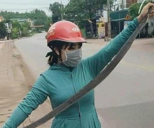Bắt gặp bé Na trên đường, 'nữ ninja' xuất chiêu cực nhanh tóm gọn trong phút mốt, con rắn 2m vùng vẫy cố thoát thân nhưng kết cục bất lực!