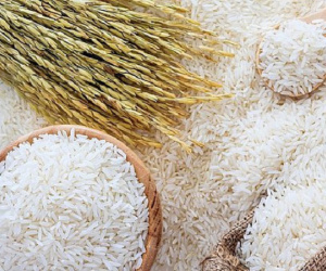 Vượt qua Thái Lan, Việt Nam vững ngôi đầu thế giới
