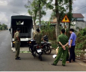 Tông vào gốc cây ven đường, 2 thiếu niên tử vong thương tâm