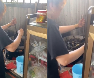 Chế biến mực xào hành dứa, cô gái khiến dân mạng bật cười nhưng sự thật mới bất ngờ
