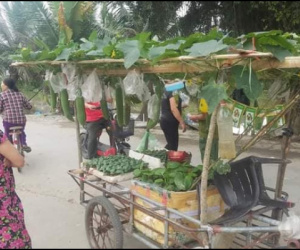 Người đàn ông Hải Phòng gây sốt khi kéo cả vườn cây trĩu quả đi khắp huyện, nhìn ai cũng thấy lạ xúm vào hỏi thì ra là bán mặt hàng này