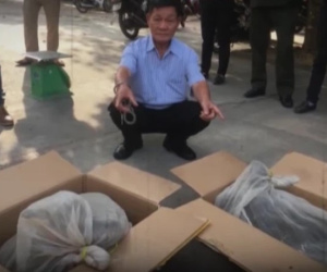 Bí ẩn 'thần y' kiêm nhà ngoại cảm chỉ cần uống nước dừa, ngửi hoa để sống: Căn hầm chứa hàng chục tấn 'vàng' và bộ mặt thật của người đàn bà gian xảo