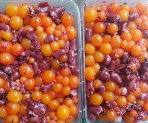 Hàng tấn đặc sản trứng gà non hôi thối tuồn vào nhà hàng
