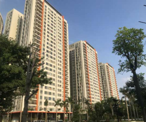 15 năm góp nhặt được 1,5 tỷ, tuyệt vọng tìm mua chung cư