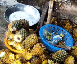 Thanh niên đăng clip than dứa rẻ, dân tình bức xúc chỉ ra điểm không hợp lý
