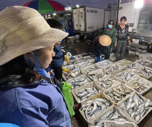 Chợ cá không ngủ nhộn nhịp nhất Hạ Long