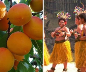 Fiji là quốc gia duy nhất không có bệnh nhân mắc ung thư: 3 lý do khiến người dân không mắc ung thư rất đáng học hỏi