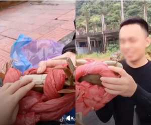 Bóc mẽ cua biển Đồ Sơn bị cột dây 'gian lận' nhưng nhóm bạn trẻ lại khiến không ít người phẫn nộ vì hành động kém duyên với người dân