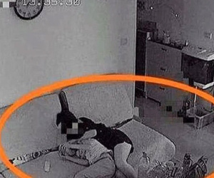 Bố mẹ hí hửng vì con trai rủ bạn đến nhà làm bài tập, nhưng cảnh tượng khi kiểm tra camera khiến cả hai chết lặng