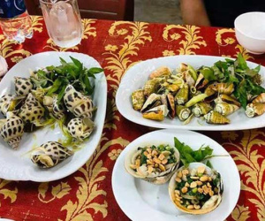 Nhà hàng bị 'tố' tính giá ốc hương 1,8 triệu đồng/kg: Nha Trang không nhà hàng nào có ốc hương lớn như chúng tôi!