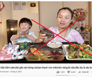 Quỳnh Trần JP có động thái trực tiếp đến clip ăn bàn chân gấu phản cảm, dân mạng lên tiếng: 'Lươn lẹo' quá rồi!
