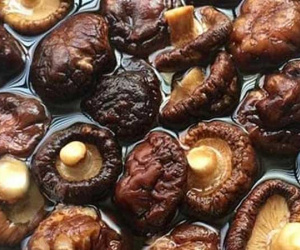 WHO công bố 4 loại thực phẩm đứng đầu 'danh sách đen' gây ung thư gan, muốn sống lâu hãy tránh xa