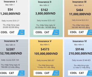 Sập sàn tiền ảo Coolcat, hơn 200 tỷ tiền thật tiêu tán