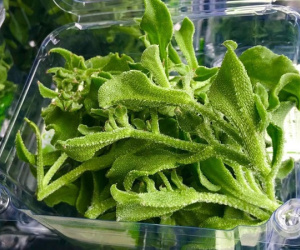 Dân Hà Nội lùng mua rau kim cương, đồ lạ mới về giá đắt, cháy hàng