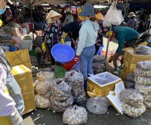 Du khách đổ về Bà Rịa - Vũng Tàu ăn hải sản, giá cả tăng vọt