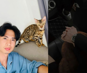 Huỳnh Phương khoe nghỉ lễ chỉ có mình với mèo, bạn gái 2k đăng nhẹ ảnh nắm tay như muốn 'bóc mẽ'