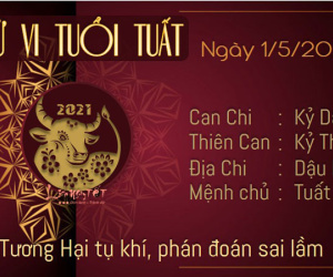 Tử vi thứ 7 ngày 01/05/2021 của 12 con giáp: Thìn tình cảm tốt đẹp, Thân hành động thiếu suy nghĩ
