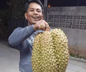 'Ngất xỉu' trước quả sầu riêng nặng tới 17kg ở nước bạn, dân mạng Việt nhìn xong ai cũng vào phán ngay 1 câu