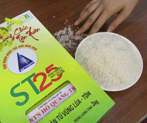 Gạo ST25 có 'đại gia' lo chuyện bảo hộ thương hiệu ở nước ngoài