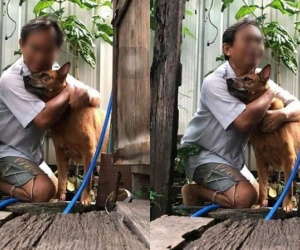 Mất chó cưng, ông nội như người mất hồn tìm kiếm khắp nơi và giây phút hội ngộ đầy nghẹn ngào